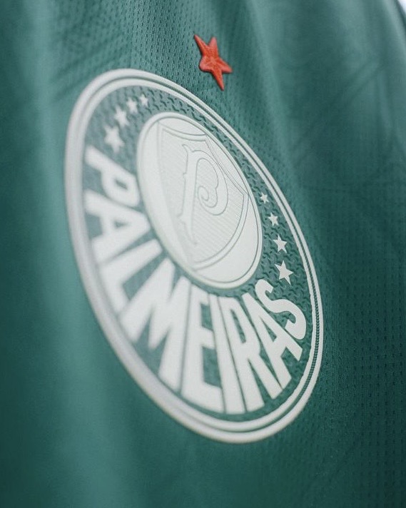 Palmeiras anuncia denúncia em caso de racismo contra segurança em Mirassol (Foto: Palmeiras)